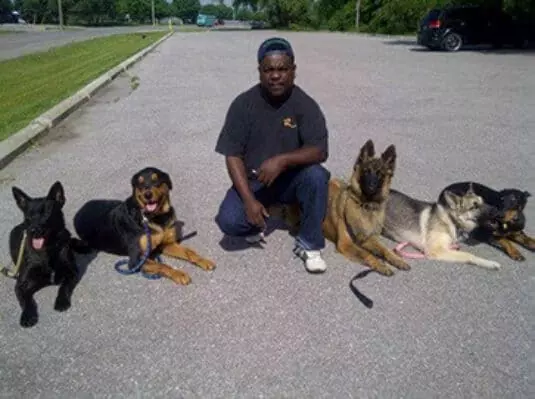 Roger Richards - Lead Dog Trainer at TorontoK9Center.com