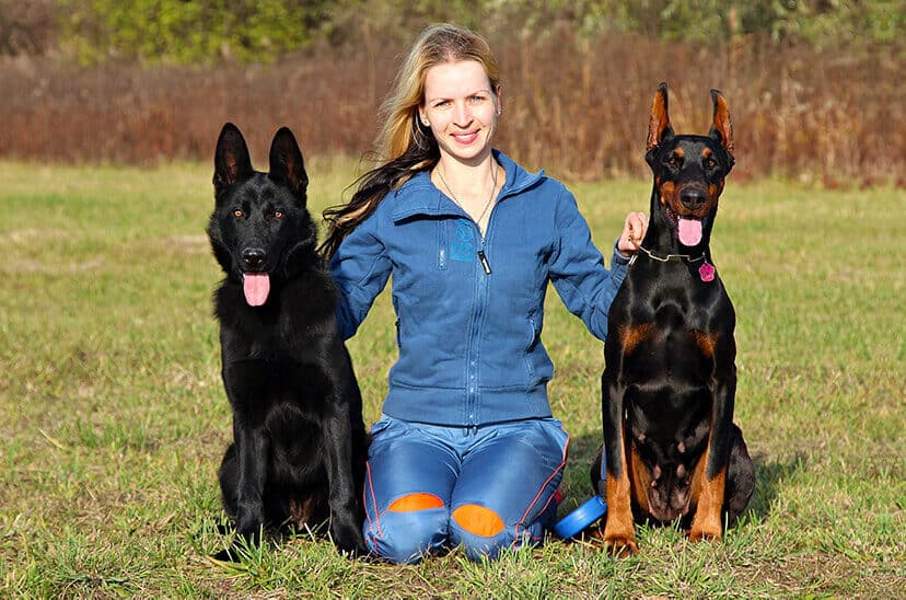 Lady sitting with Doberman and Black German Shepherd dogs