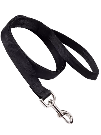 Black Dog Leather Leash