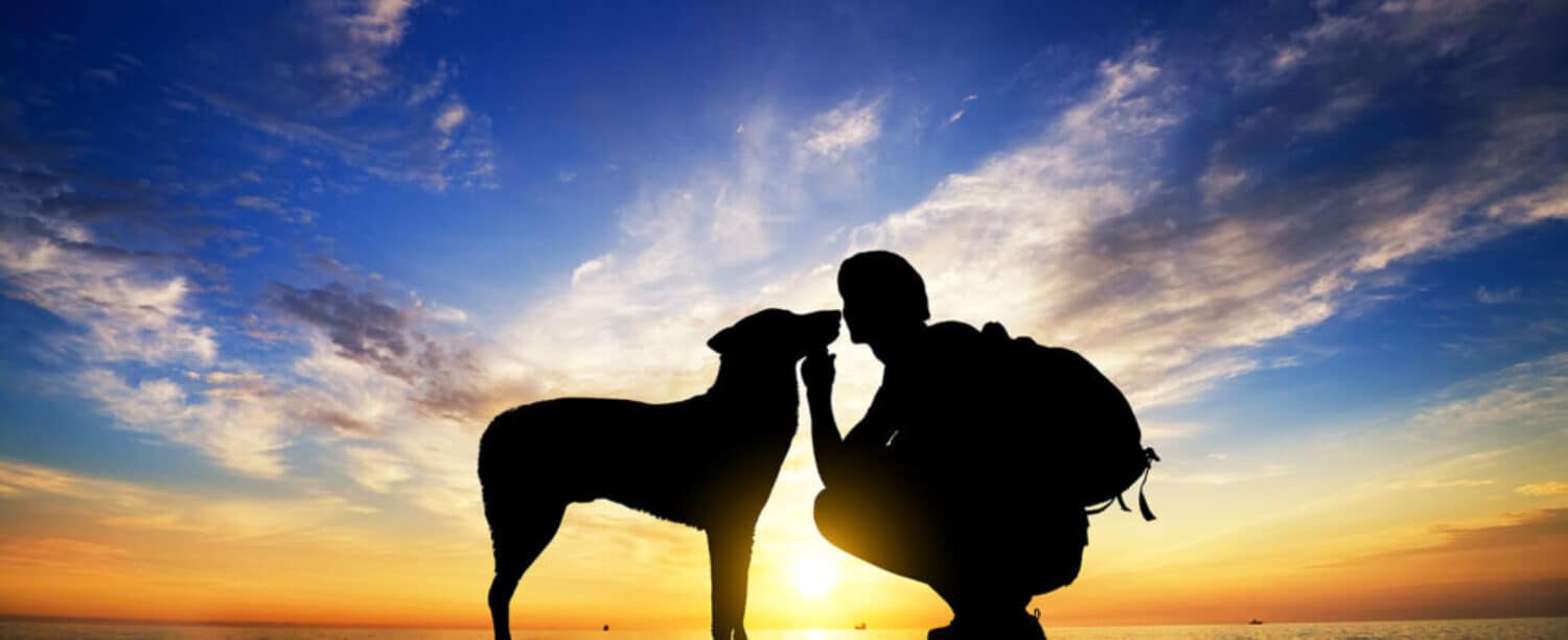 Dog & Woman Watching the Sunset