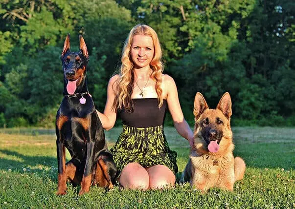 German Shepherd Doberman sitting beside dog trainer from TorontoK9Center.com
