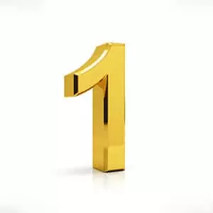 Gold Number One used at TorontoK9Center.com