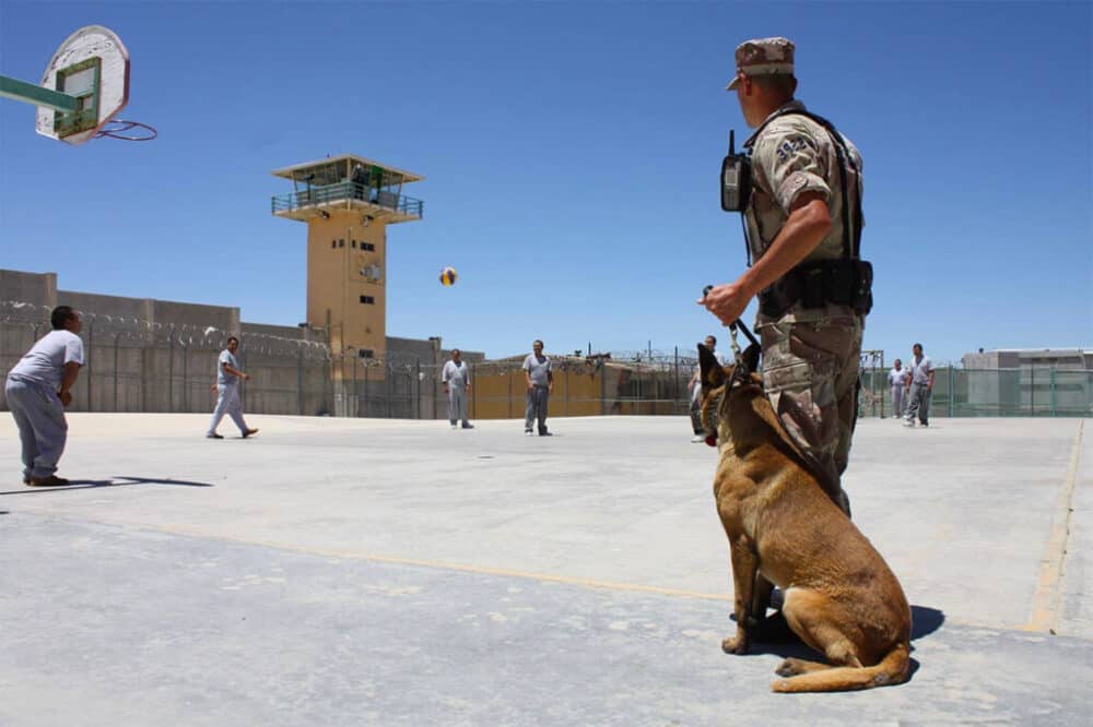 Prison Guard with his security dog trained by TorontoK9Center.com