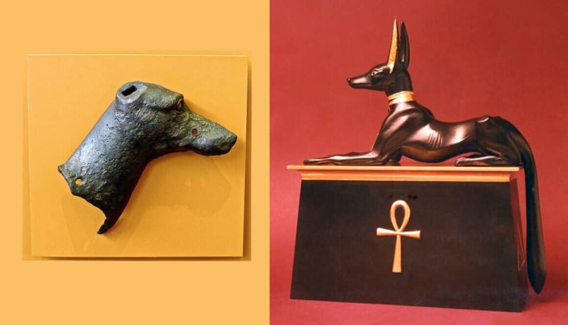 Ancient Rome Egyptian Dogs by TorontoK9Center.com