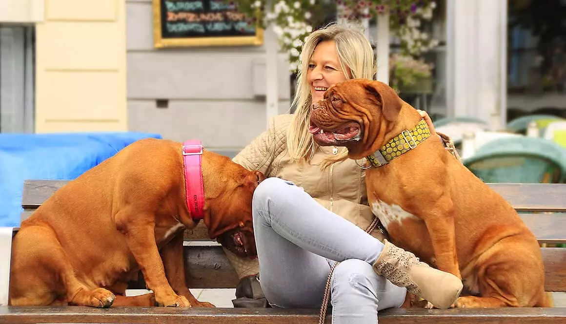 Personal Protection Dog Training by Roger Richards • TorontoK9Center