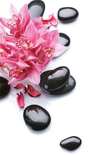 Pink Lilies and Black stones at Toronto K9 Center