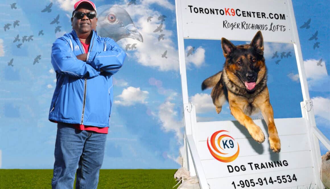 Roger Richards - Toronto K9 Center Dog Training 1-905-914-5534 TorontoK9Center.com