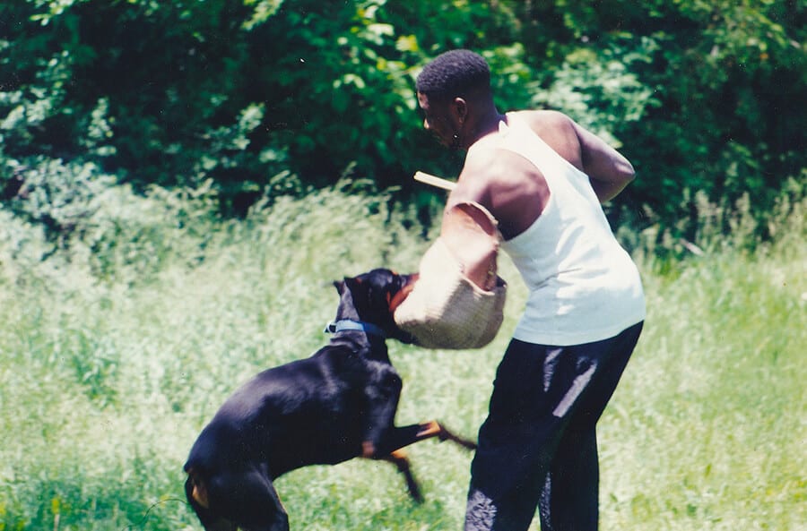 Man with Protection dog being trained by TorontoK9Center.com