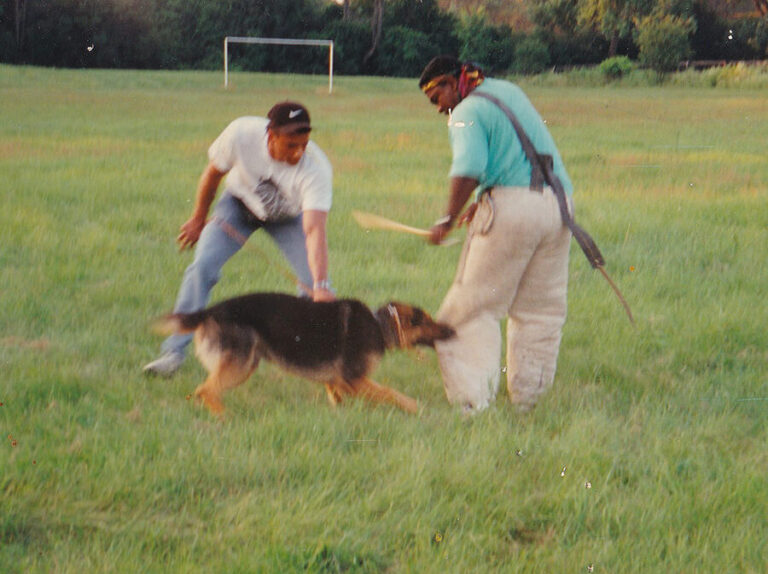 1:1 Dog traning with instructor from TorontoK9Center.com