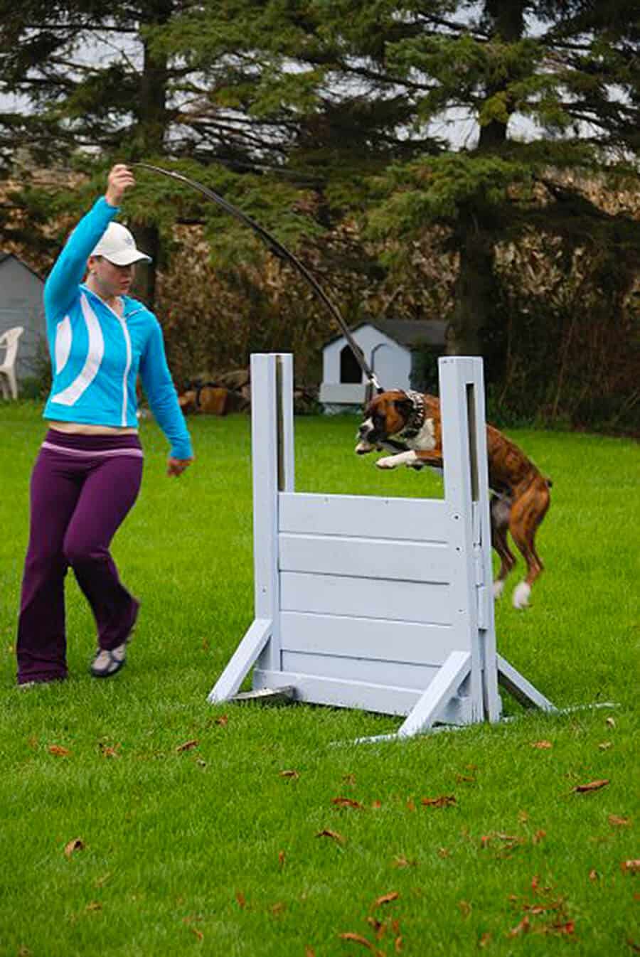 Woman and her dog training at TorontoK9Center.com