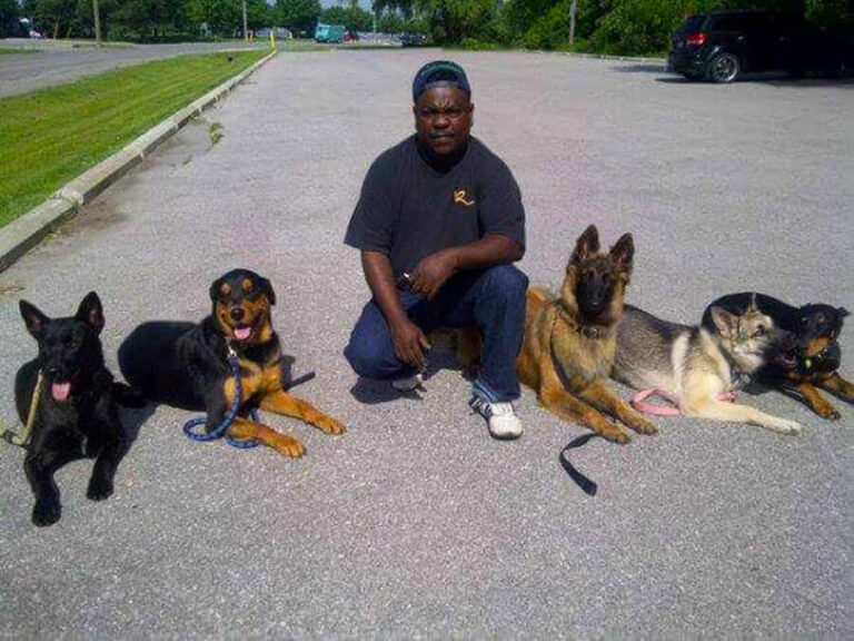 Roger Richards with his Trained Dogs at TorontoK9Center.com