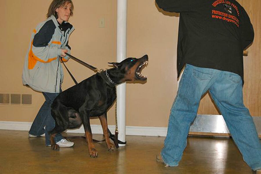 Woman and her Dog participating in our Personal Protection Dog training Class at TorontoK9Center.com