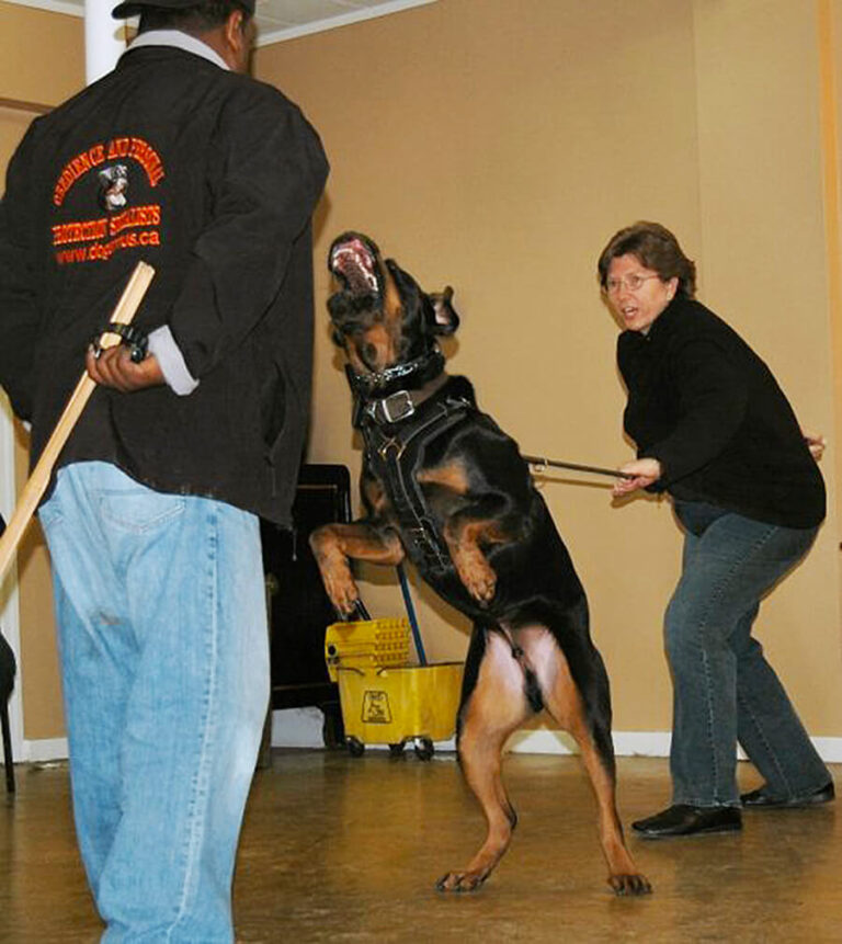Training by Roger Richards - Woman and her dog getting Personal Protection Training at TorontoK9Center.com