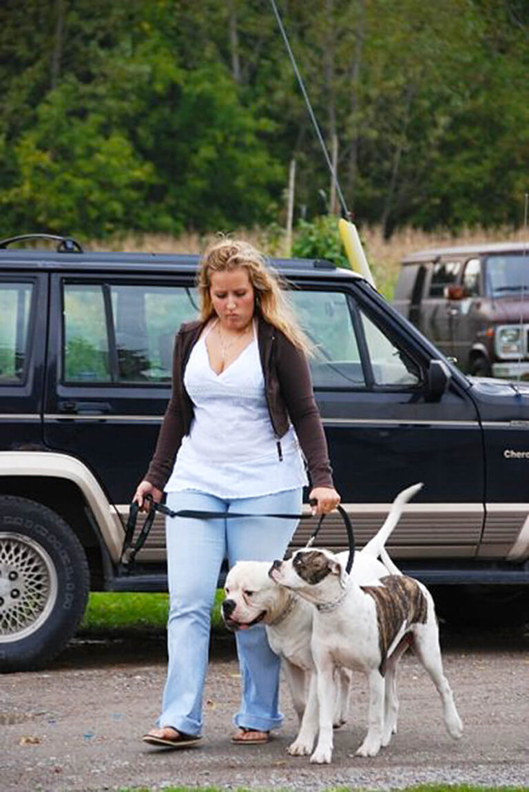Woman with two dogs trained by TorontoK9Center.com