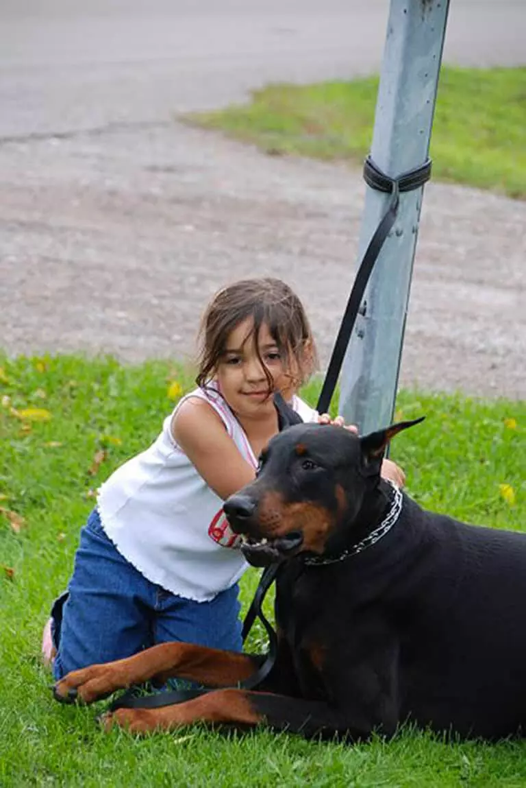 Young Girl and her Doberman dog at TorontoK9Center.com