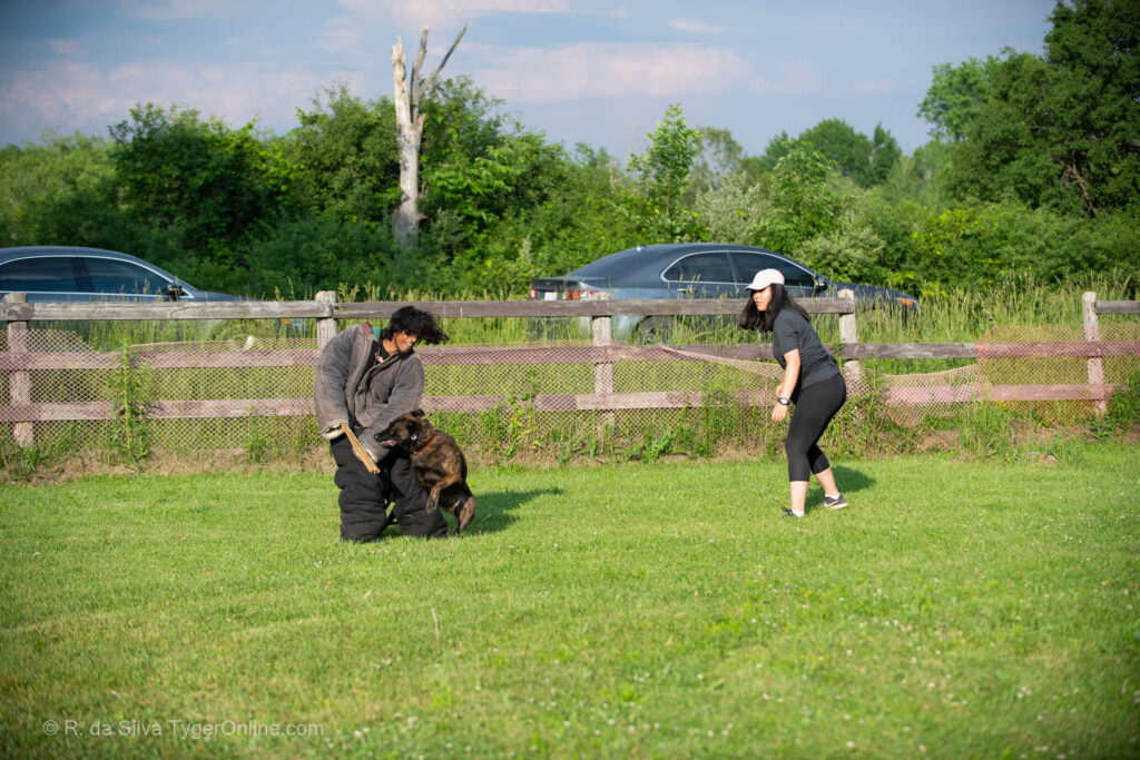 Toronto K9 Center Group Training Picture #5633
