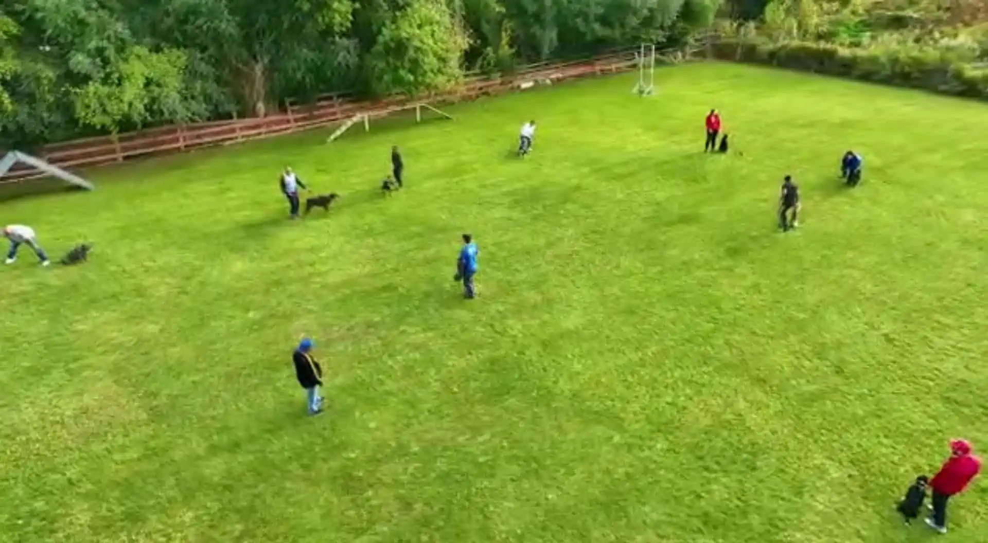 Toronto K9 Center - Aerial View of Group Obedience Training Class