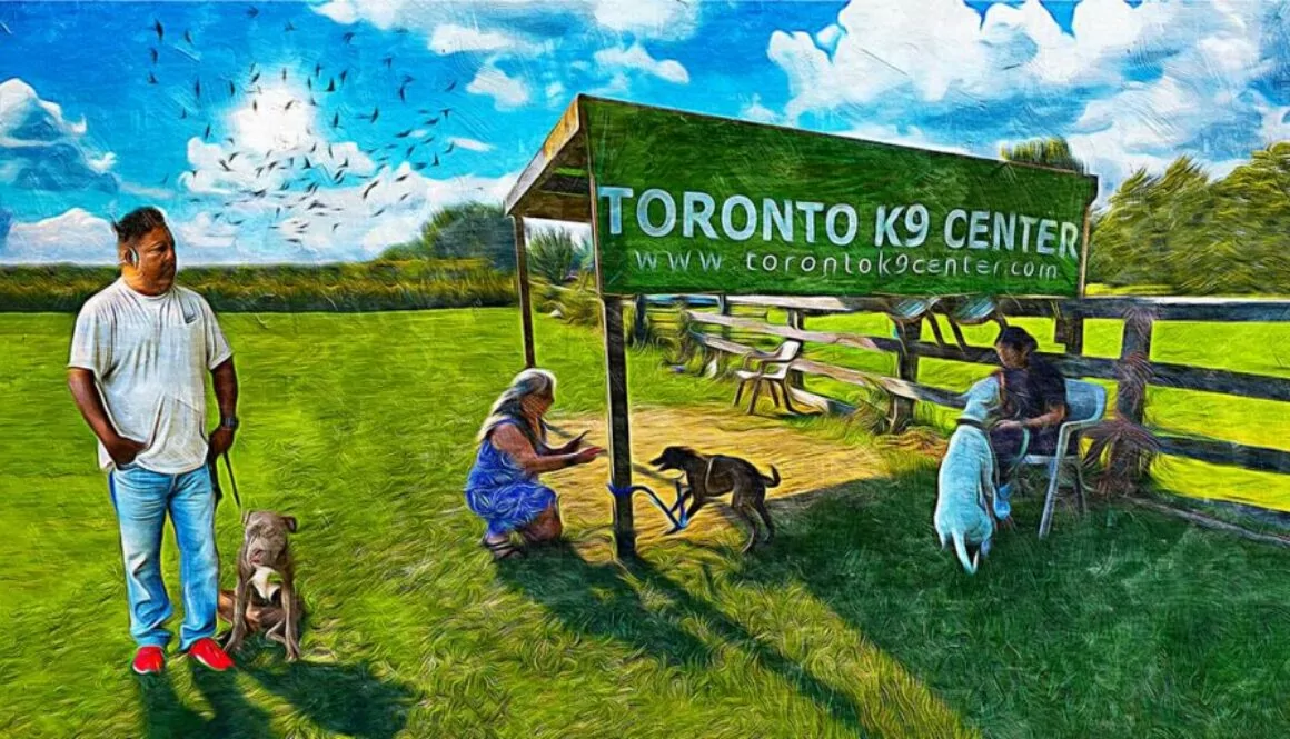 Toronto K9 Center Dog Training Class on a September Sunny Day